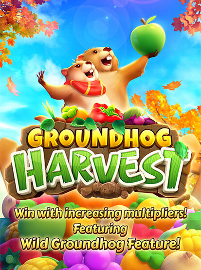 Groundhog Harvest ทดลองเล่นฟรี